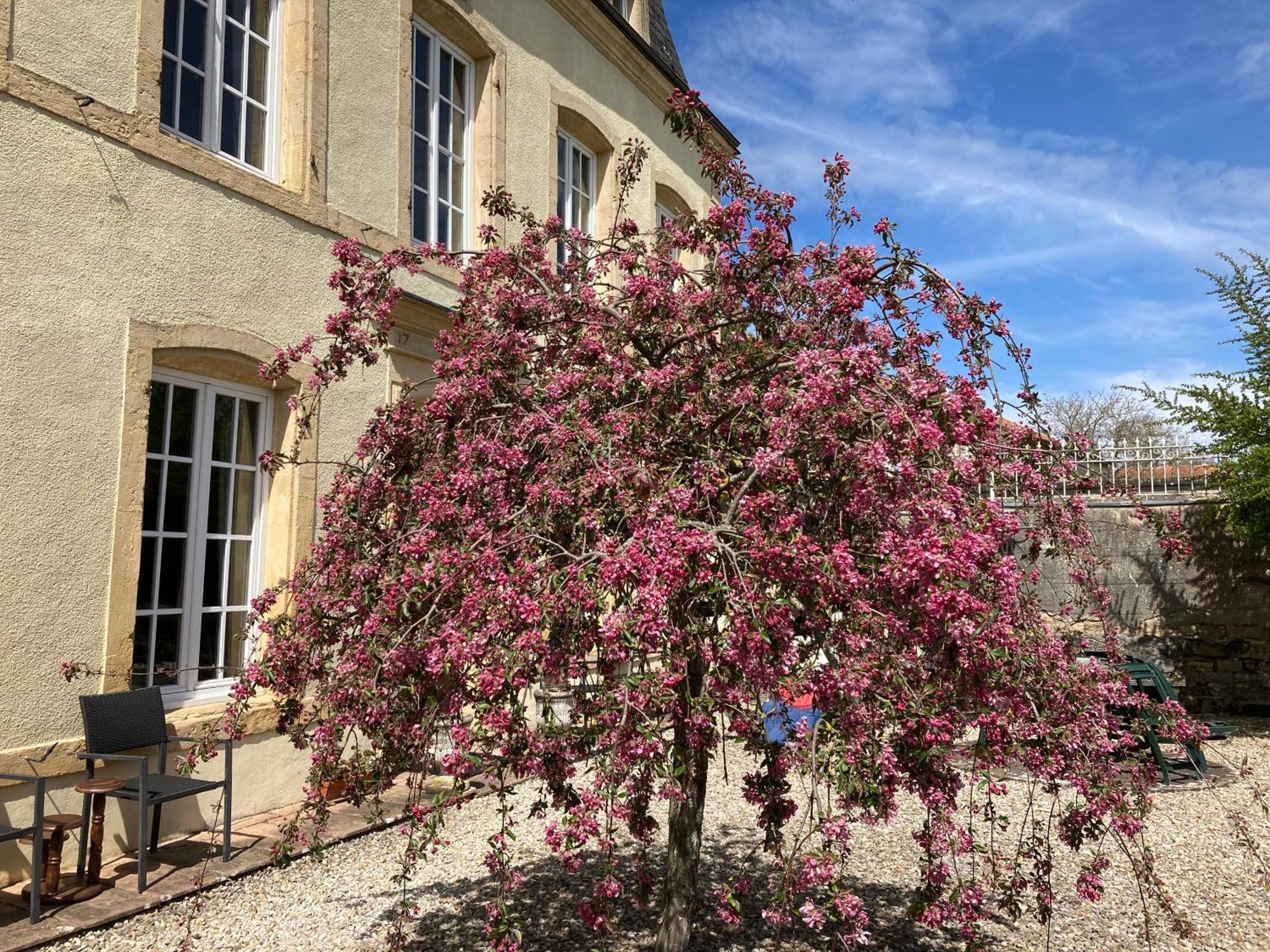 Maison Les Beaux Arts Mouzay  Exterior foto
